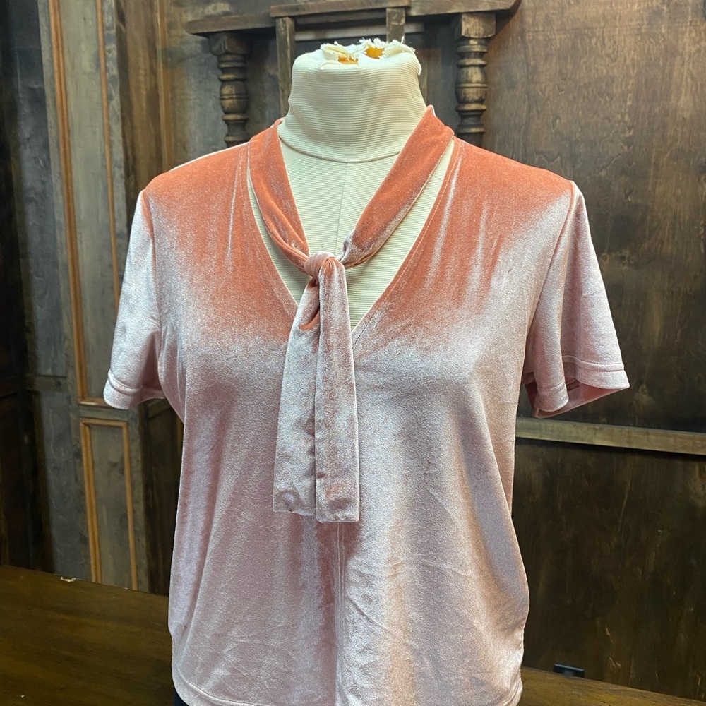 Madewell Velvet Tie-Neck Top